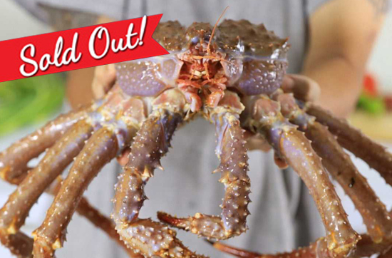 Red King Crab
